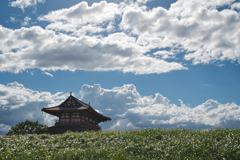 夏模様