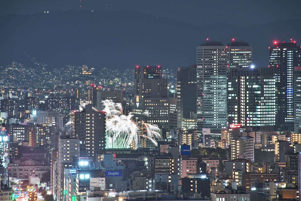 夜景に紛れて・・・!(^^)!