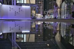 水たまりに映っとんなぁ~ 水たまりに映っとんなぁ~