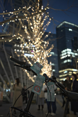 堂々と放ったらかし