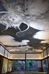 気配を感じ見上げれば・・・