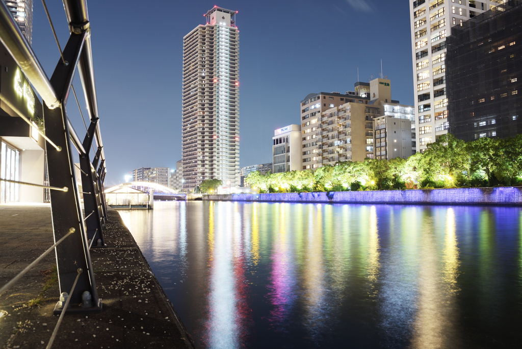 煌めき、その先へ