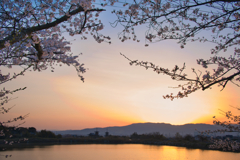 いだかれて花春