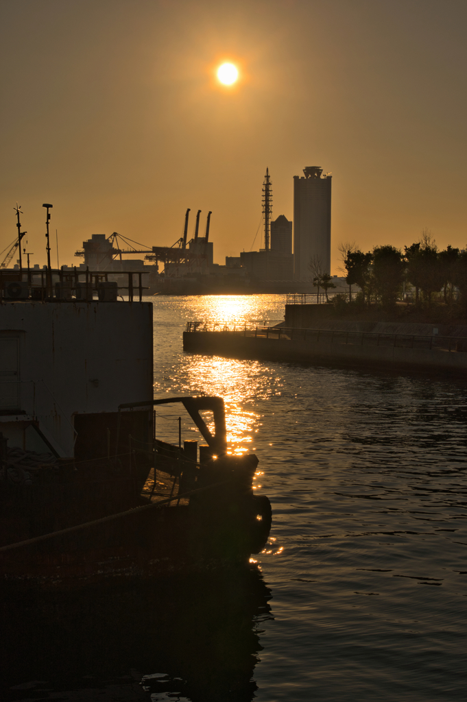 あの陽に導かれ、いつの日か