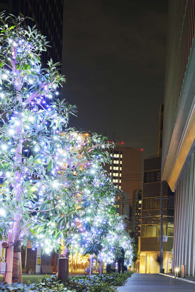 隠れて、そっとキスしょう～♪