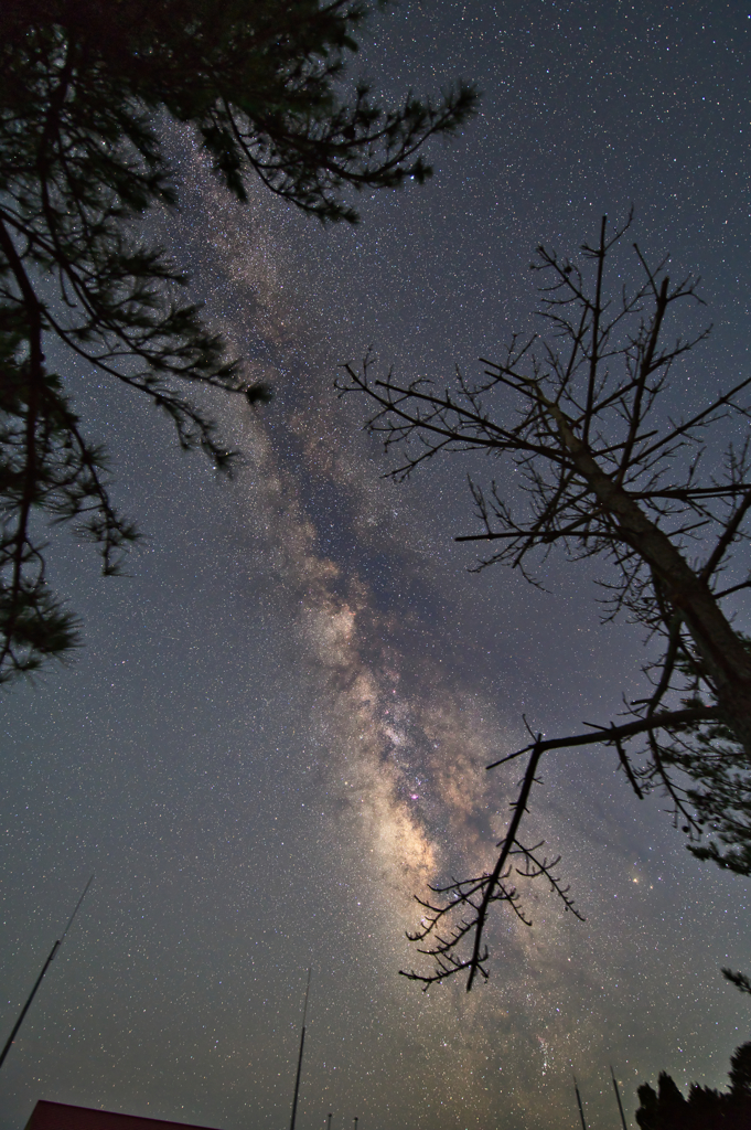 ザワつく夜は、心静かに星を眺め