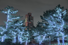 気配を感じ振り返ると、心がざわついた