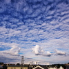 行き合いの空