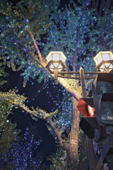 きらめく夜の街を貴方と・・・(^^)