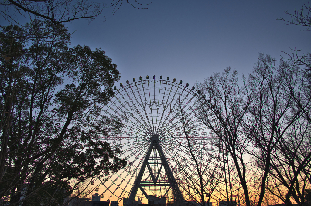 この世界に、我はいる