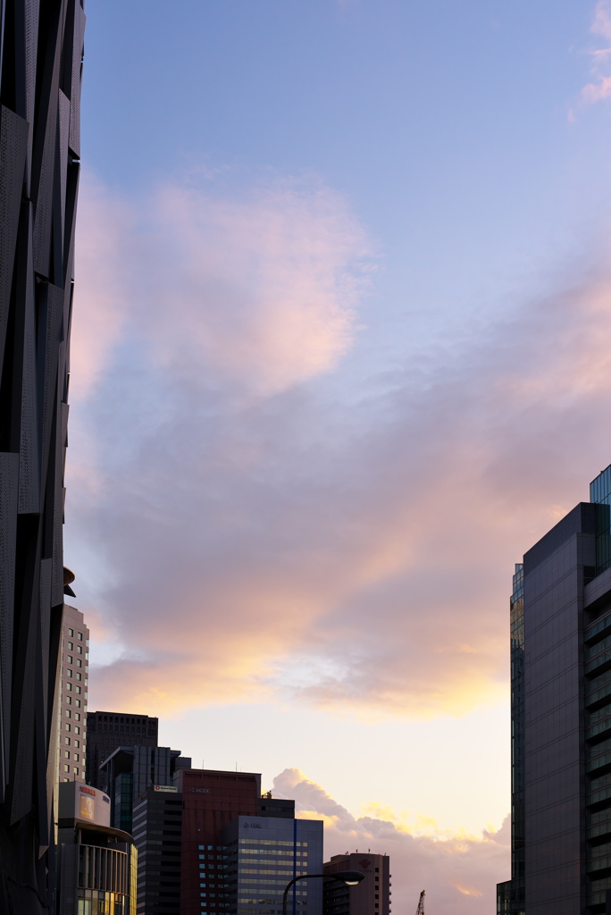 雨上がり