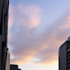 雨上がり