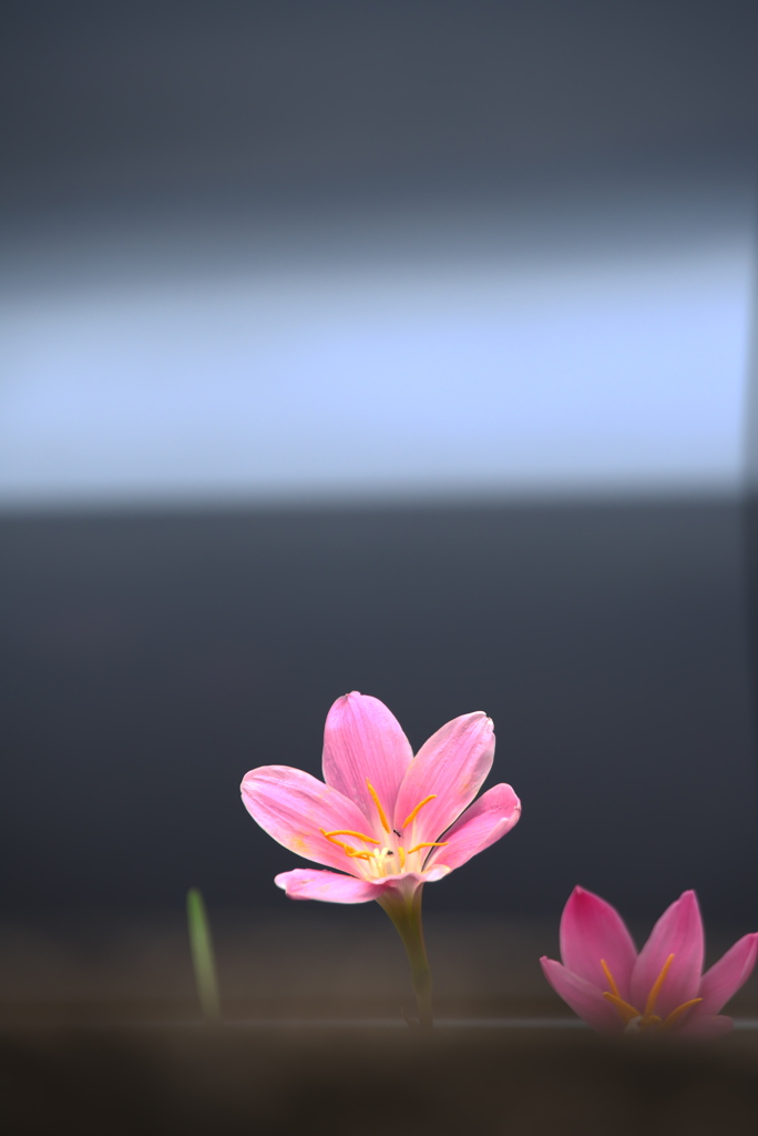 現実世界は厳し～ぃ
