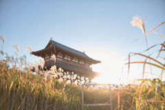 古都に降り注ぐ、秋の香り