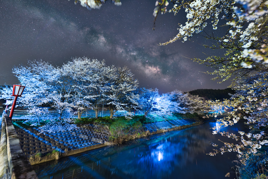 色気る・春うらら