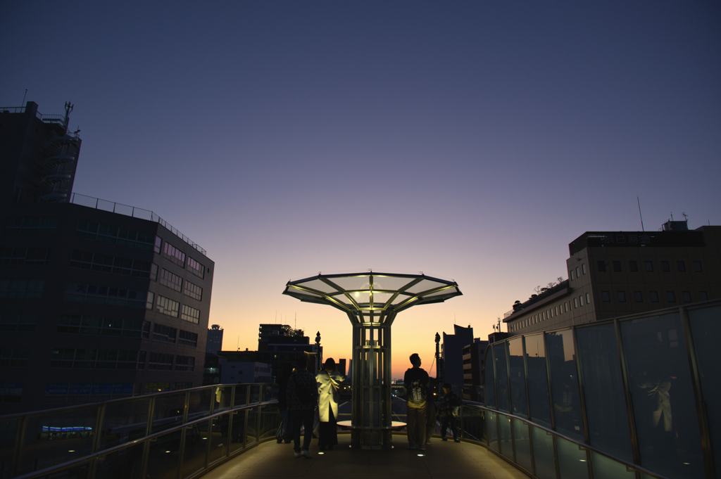 時を旅する者達へ