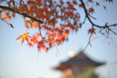 過ぎ去りし日々