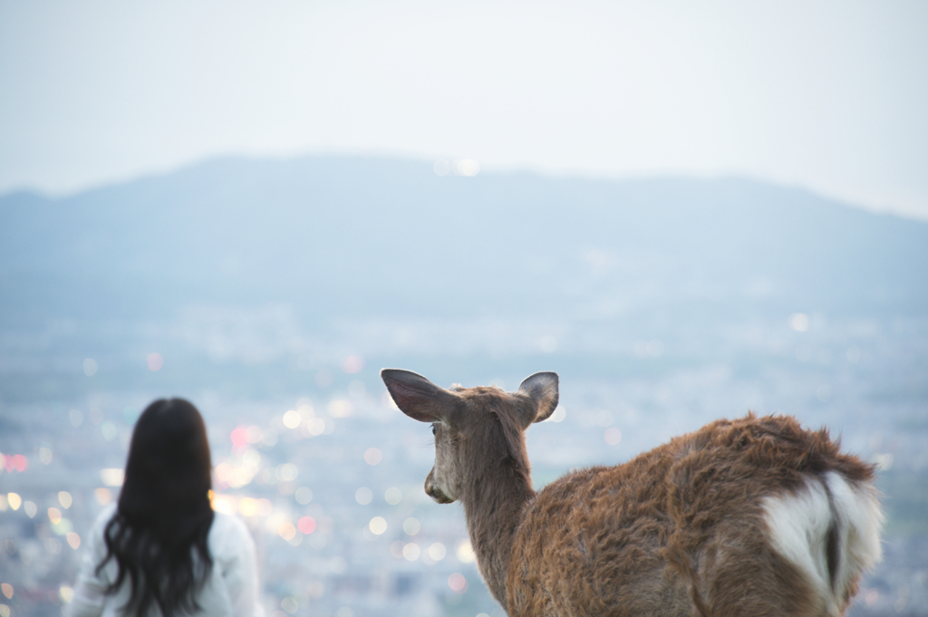 お・お供したいので