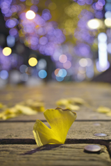 戻れない、あの日