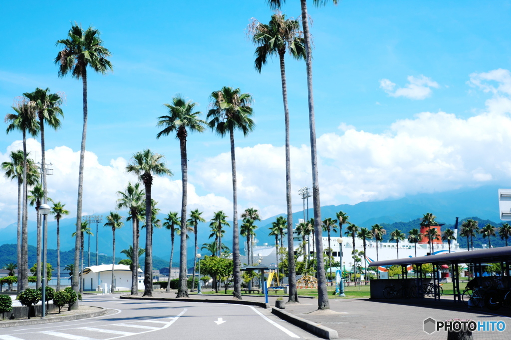 夏