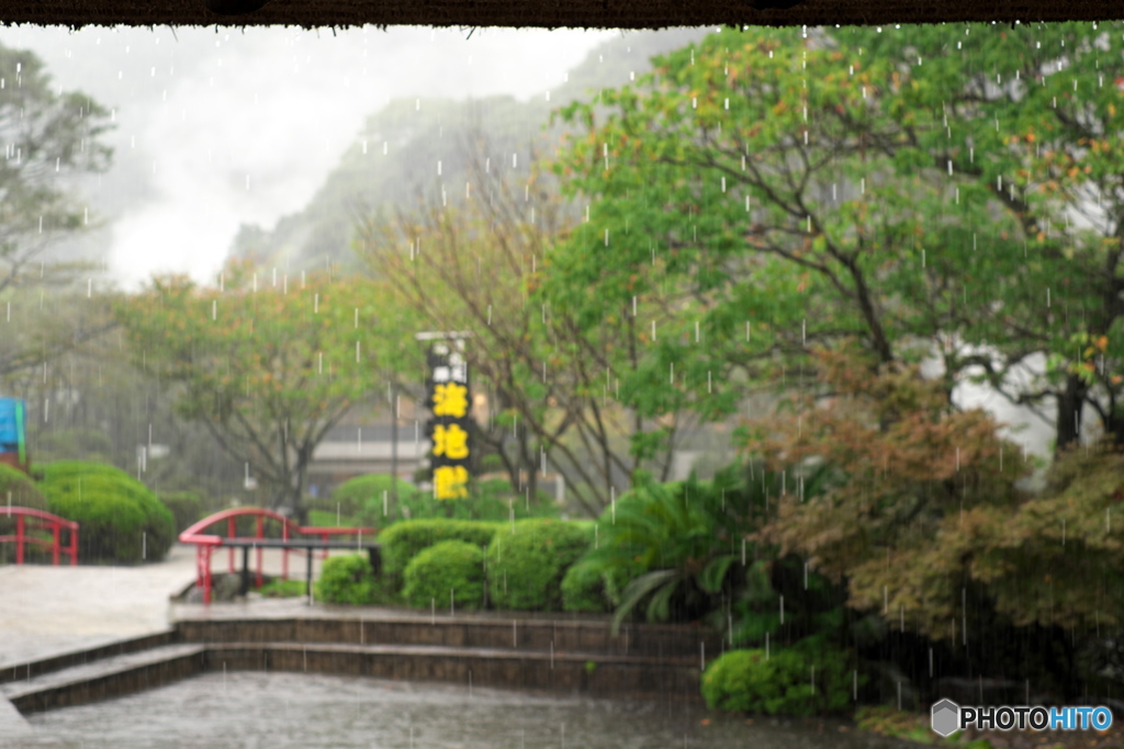 雨