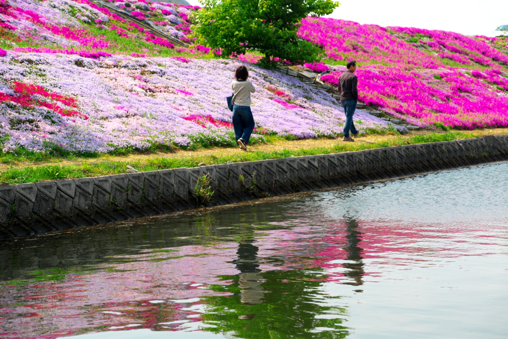 清々しい
