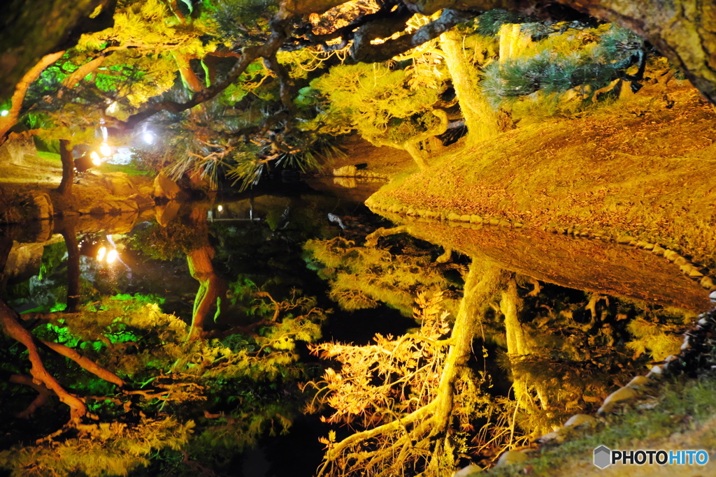 紅葉ライトアップ　栗林公園