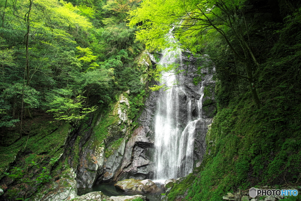 新緑の滝