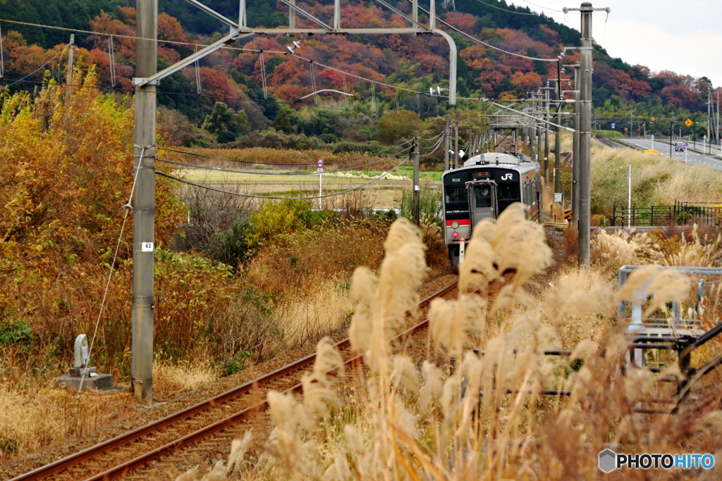 紅葉を駆け抜ける