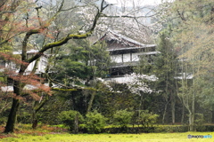 瑞応寺