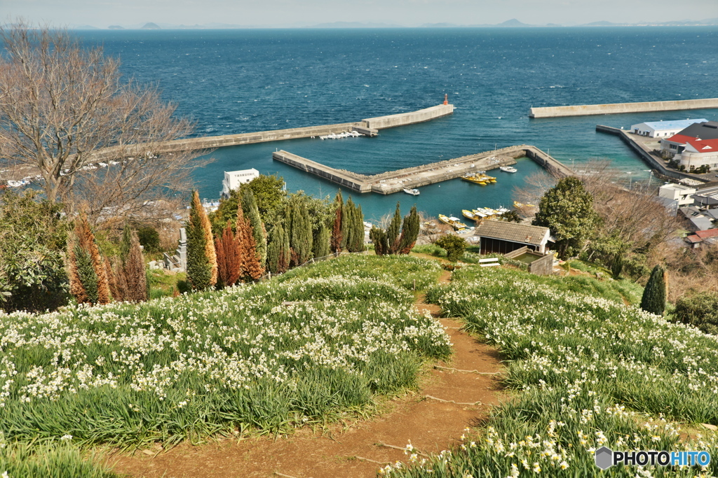 海の見える丘より