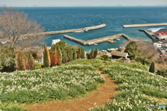 海の見える丘より