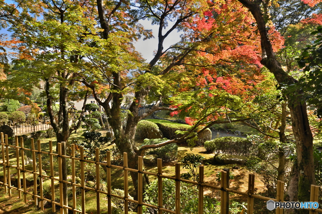 大窪寺