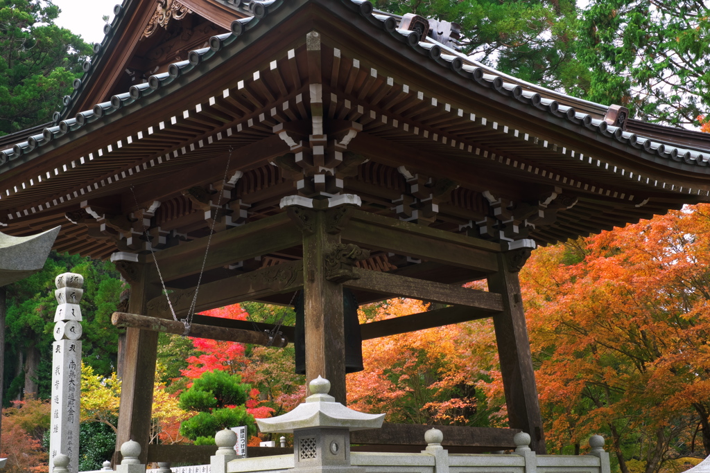紅葉を求めて　雲辺寺
