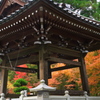 紅葉を求めて　雲辺寺