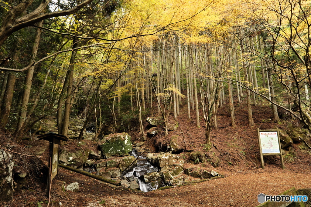 白糸の滝