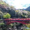 春