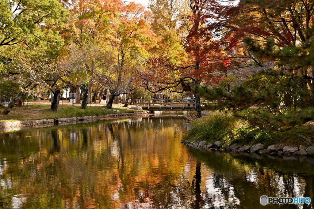 岡山県総合グランドの紅葉