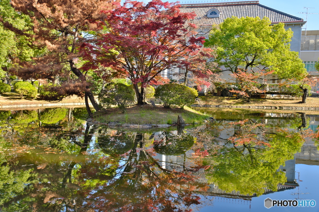 リフレクション