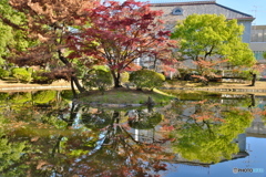 リフレクション