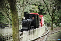 鉱山列車は行く