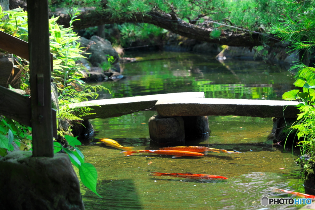 日本庭園