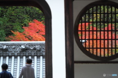 お寺と紅葉