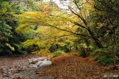 秋の滑川渓谷