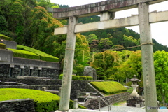 新緑の鳥居