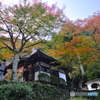 紅葉