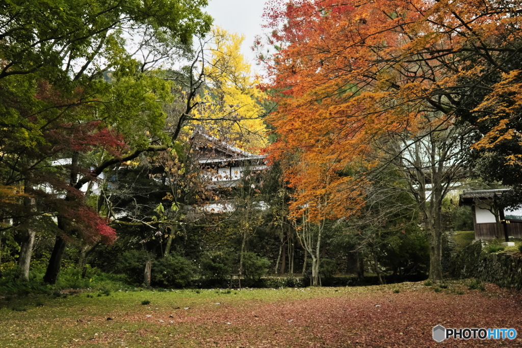 瑞応寺