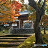 瑞応寺山門の紅葉
