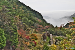 マイントピア別子の紅葉（東平地区）