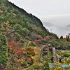マイントピア別子の紅葉（東平地区）